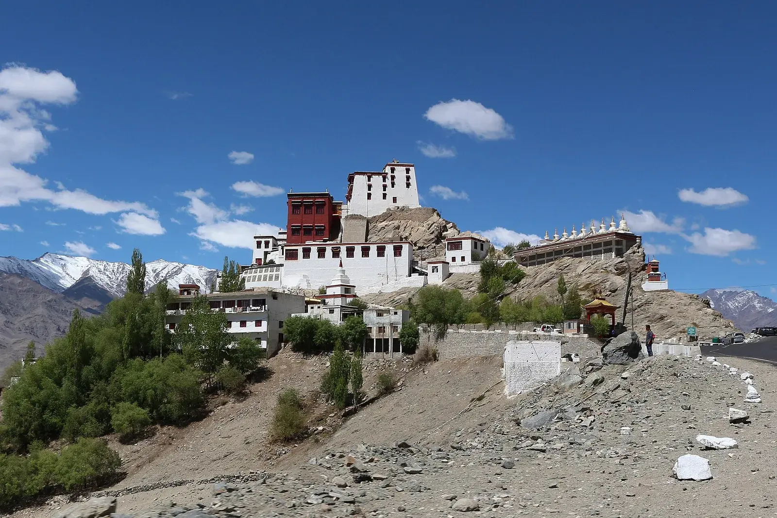 Ladakh Vajrayana Monastery Immersion