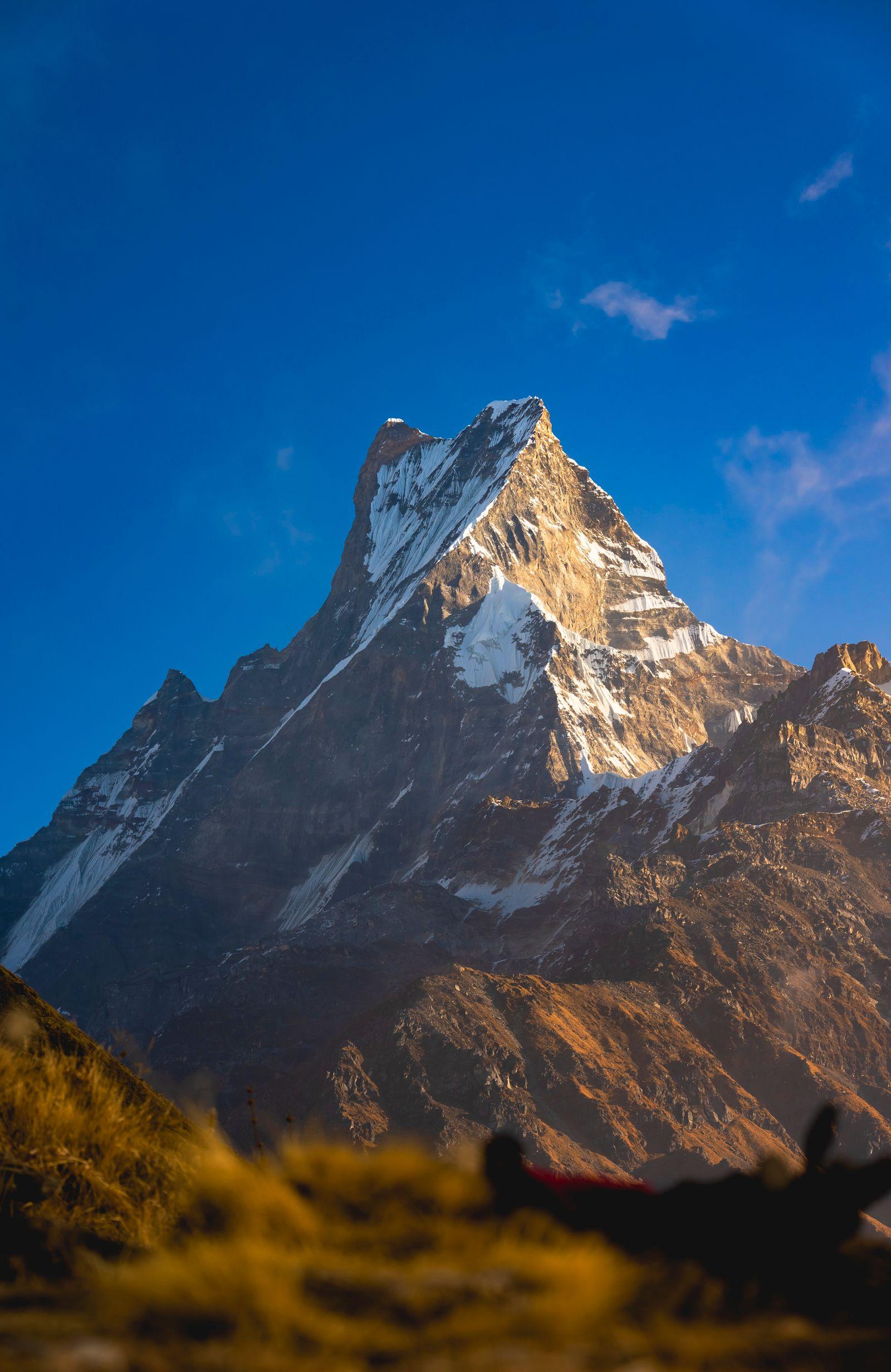 Mt Machhapuchare (Fishtail) glowing at golden hour, Annapurna range, Nepal