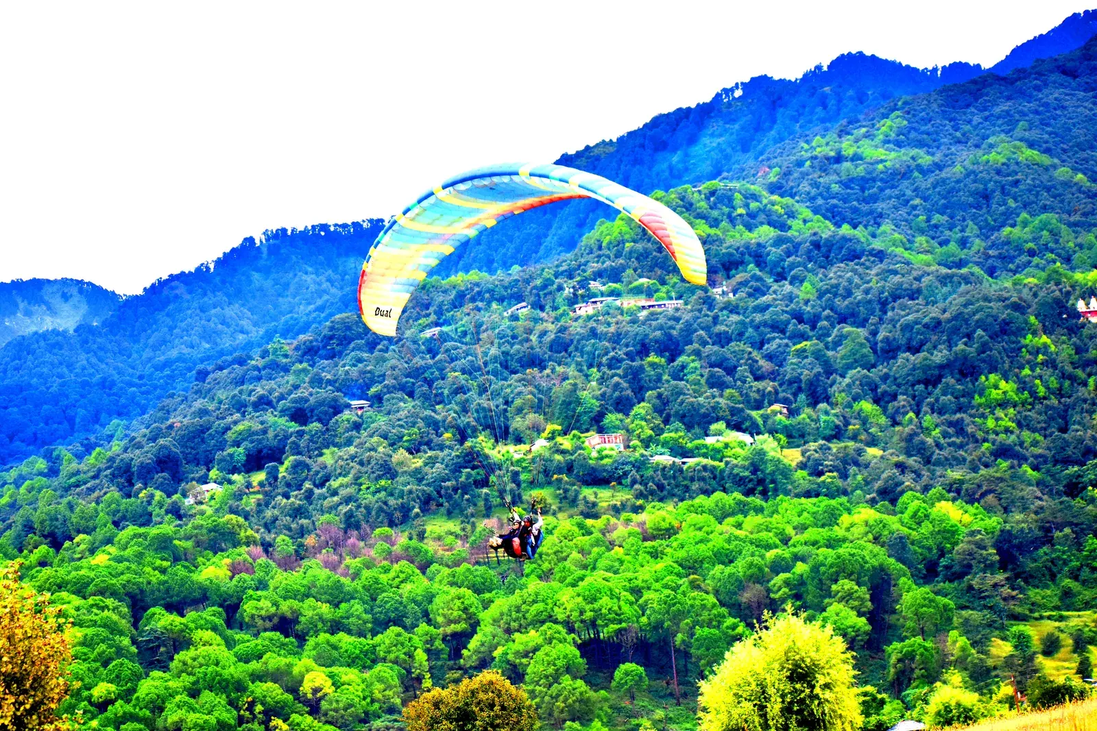 Paraglider over the forested hills of Bir Billing